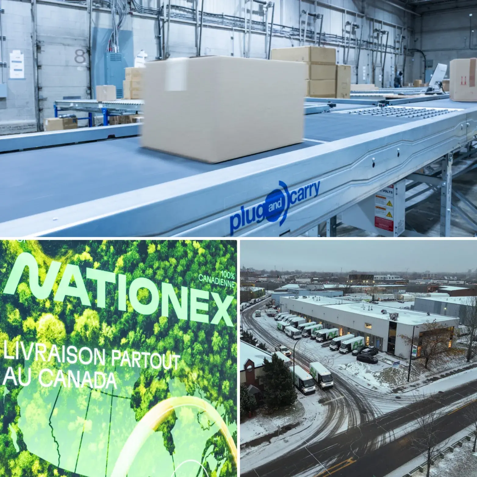 Boa Concept Nationex 